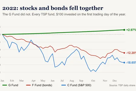 The TSP Allocation That Could Save You Five Years of Work